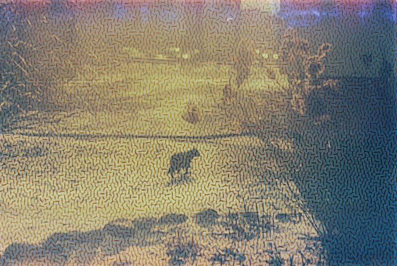 On Community and Collaboration at Da Vinci Art Alliance